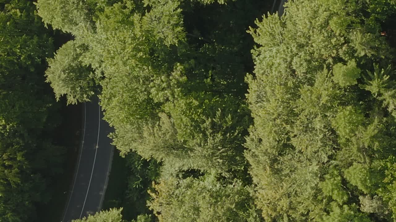 zoom desde un bosque verde y una parte de una calle desde arriba hasta una carretera con curvas con automóviles en marcha: aumento total de la vista