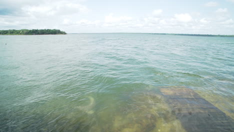 Toma-Amplia-De-Delfines-De-Río-En-El-Río-Amazónico