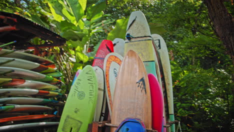 moving in shot of colorful surfboards standing in the middle of the forest