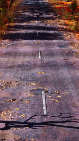 un largo camino vacío en el interior de australia