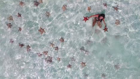 Mujer-Sostiene-Dos-Estrellas-De-Mar-Bajo-Aguas-Poco-Profundas,-Vista-Superior-Aérea-Agua-De-Mar-Cristalina