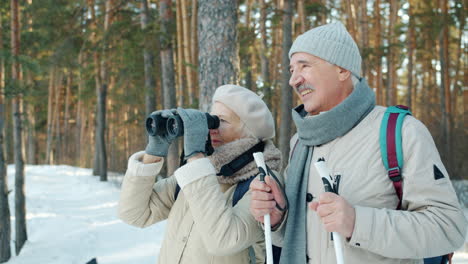 senior couple hiking in winter forest with binoculars and walking sticks