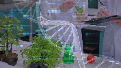 estructura de adn y procesamiento de datos contra la sección media de dos científicos que trabajan en el laboratorio