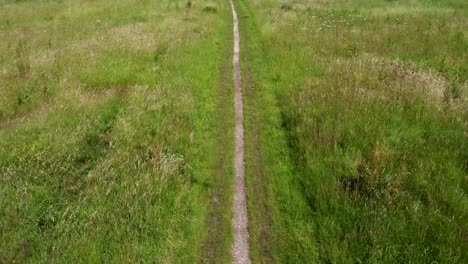 a worn out natural footpath going through marshland