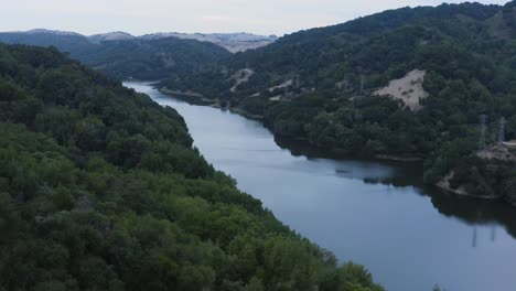 the forest and river live in harmony