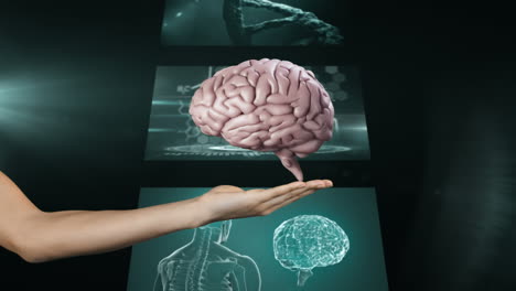 animación del cerebro humano girando sobre pantallas con procesamiento de datos científicos