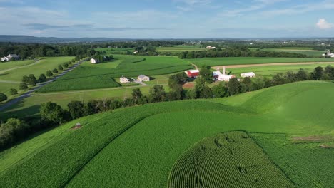 growing cultivated fields in american countryside. red barn of farmstead on sunny summer day in usa. aerial rising wide shot. peaceful rural neighborhood of kansas