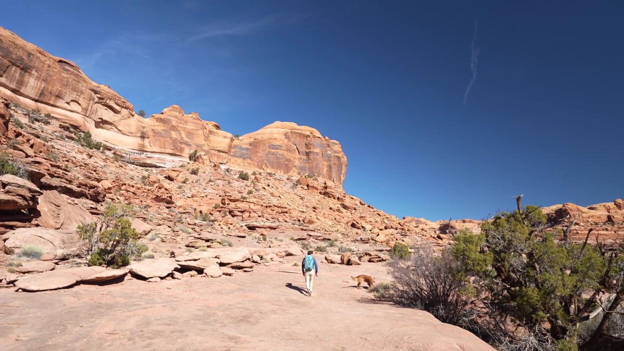 Uomo con zaino e cane su sentiero escursionistico nel deserto dello Utah, punto di partenza dei sentieri Jeep, Pinto e Corona Arch vicino a Moab, USA