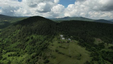 drone footage woodland forest view