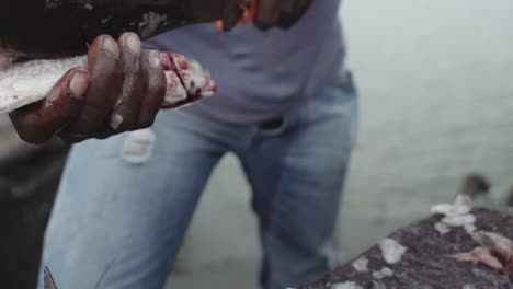 cerca de las manos de un hombre de color limpiando pescado en un mercado de pescado callejero en buenaventura, colombia