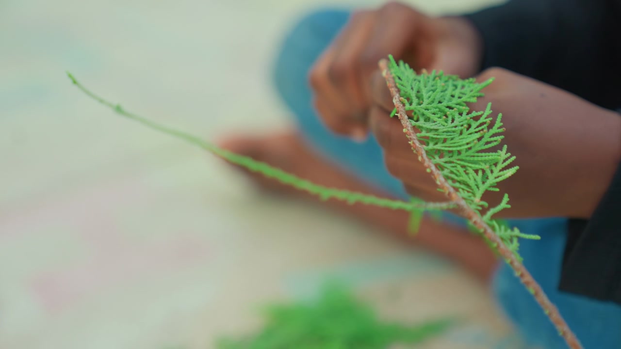 Closeup child hands holding branch green foliage, soft focus on fingertips tracing texture, barefoot leg blurred on mat, delicate sensory exploration, young gatherer studying plant detail with calm