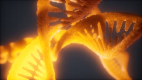 loop double helical structure of dna strand close-up animation