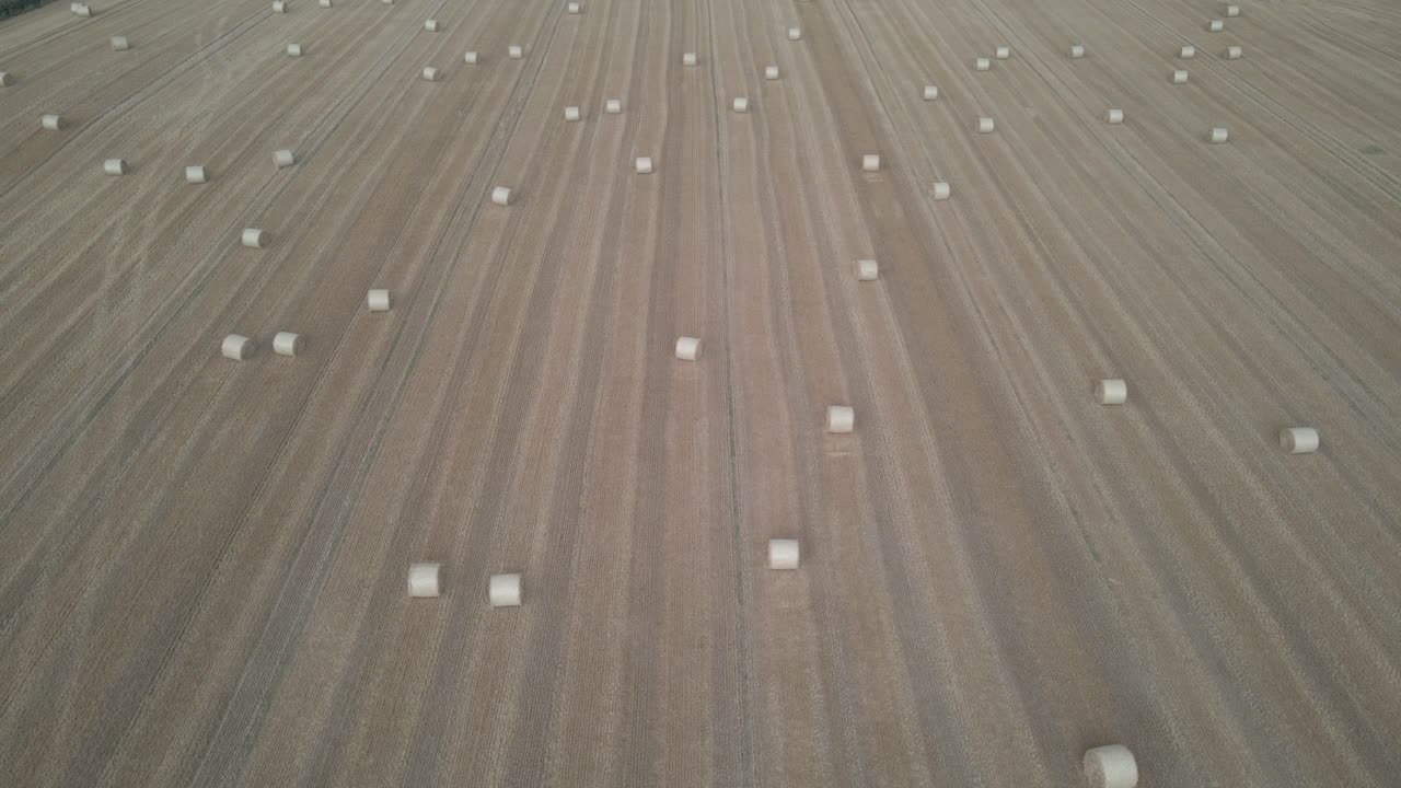 동물 식품을 위한 건초 더미가 있는 아일랜드 농장