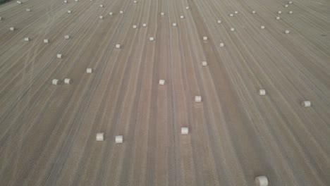 irish farm field with rolls of hay bales for animal food