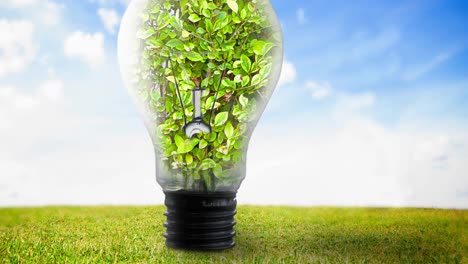 Animation-of-light-bulb-full-of-plants-over-blue-sky-and-grass