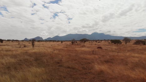 La-Sabana-En-Tsavo-Oeste,-Cerca-Del-Albergue-Lions-Bluff,-Kenia