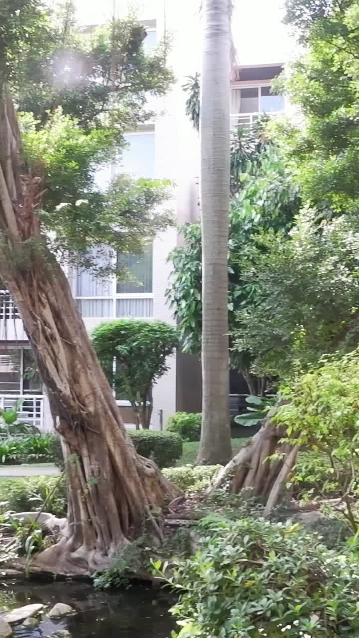 Residential Garden with Buildings