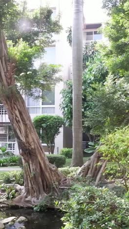 jardín residencial con edificios