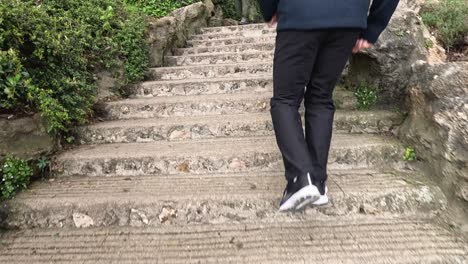 people ascending stone steps in a garden