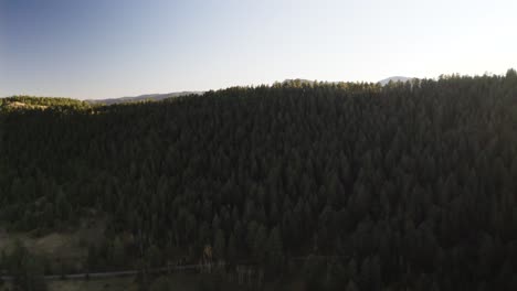 drone-shot-capturing-the-golden-hues-of-a-Colorado-sunset-casting-a-warm,-ethereal-glow-over-a-vast-expanse-of-pine-covered-mountains