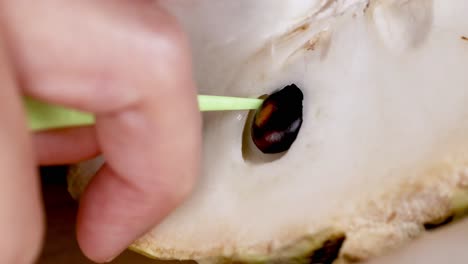 hands extracting seeds from a custard apple