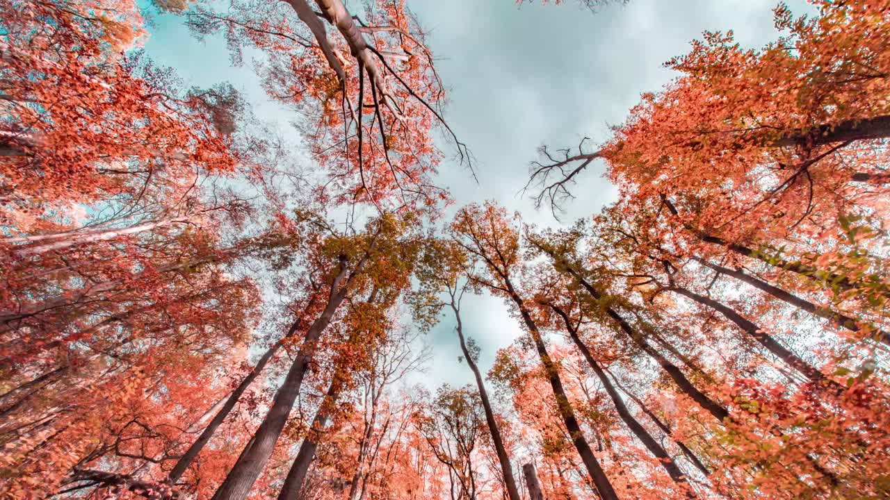멋진 가을 산책 프라하의 hvezda 공원