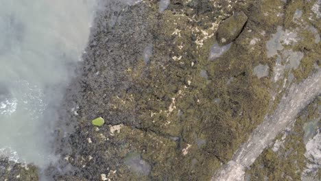 Aerial-rising-birdseye-view-above-rocky-seaweed-coast-rock-pool-landscape