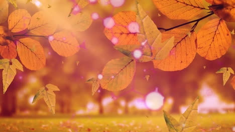 animation of leaves falling over shapes