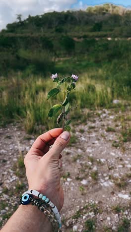 mano sosteniendo una pequeña flor púrpura con pulseras