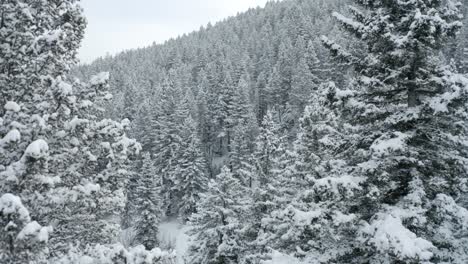 flying over a trailhead the morning after a big snowstorm