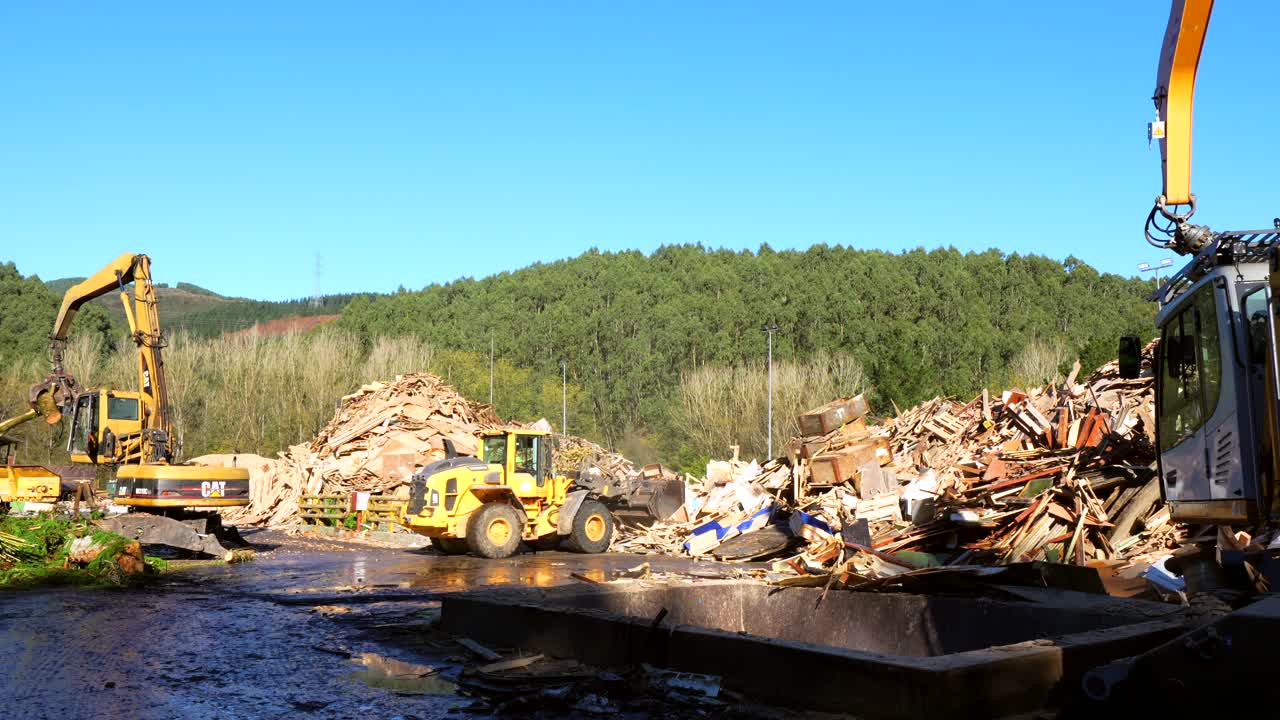Heavy Machinery at Work in a Logging Operation