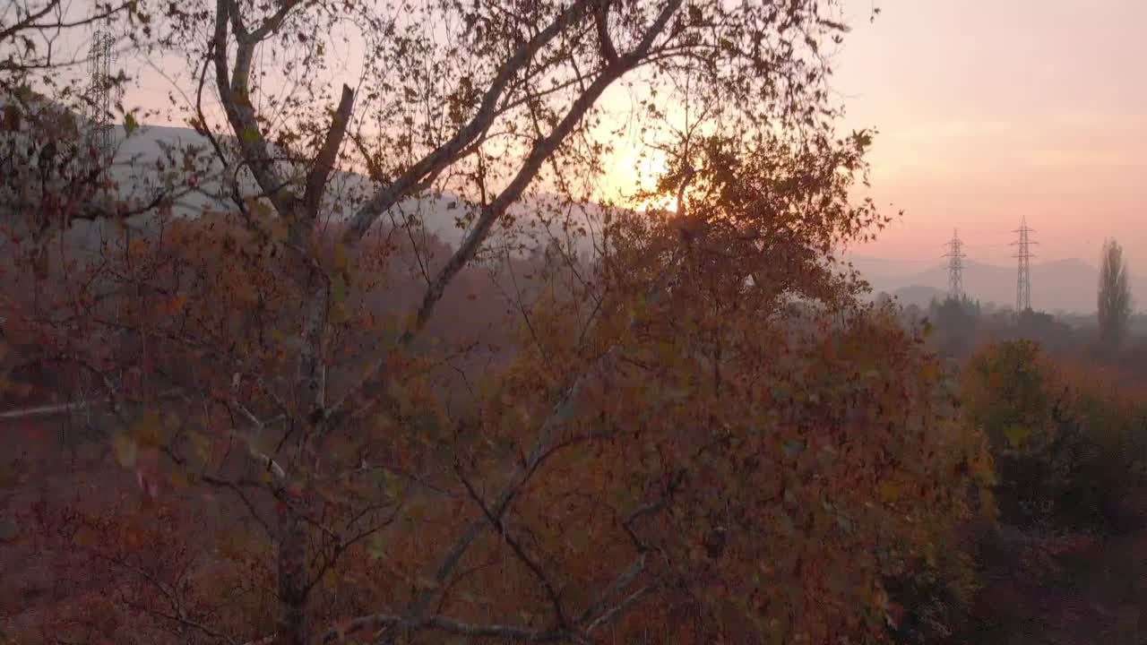 AERIAL: Sunset in forest near Bursa