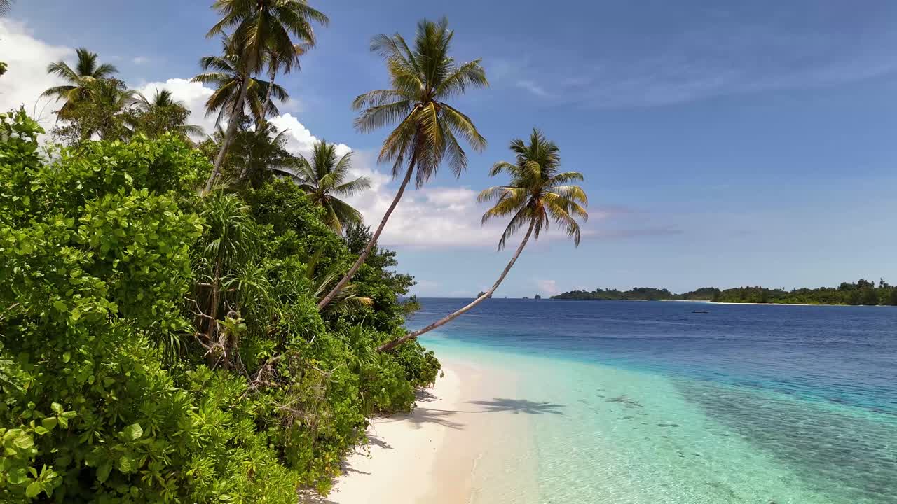 Un video ravvicinato 4K con drone di una splendida spiaggia tropicale nelle Isole Banggai a Sulawesi, Indonesia. Si possono vedere la giungla e le palme che costeggiano la spiaggia di sabbia bianca e l'oceano blu brillante