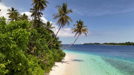 a close up 4k drone video of a beautiful tropical beach in the banggai islands in sulawesi, indonesia. you can see the jungle and palm trees lining the white sand beach and bright blue ocean