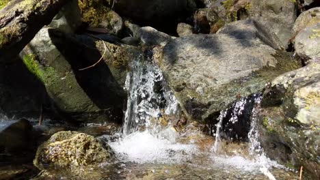 Water-flowing-over-rocks-covered-by-moss-in-the-forest-of-the-Olympic-National-Forest