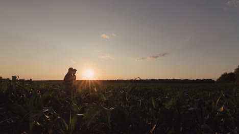 Dos-Agricultores-Caminando-Por-Un-Campo-De-Maíz-Al-Atardecer