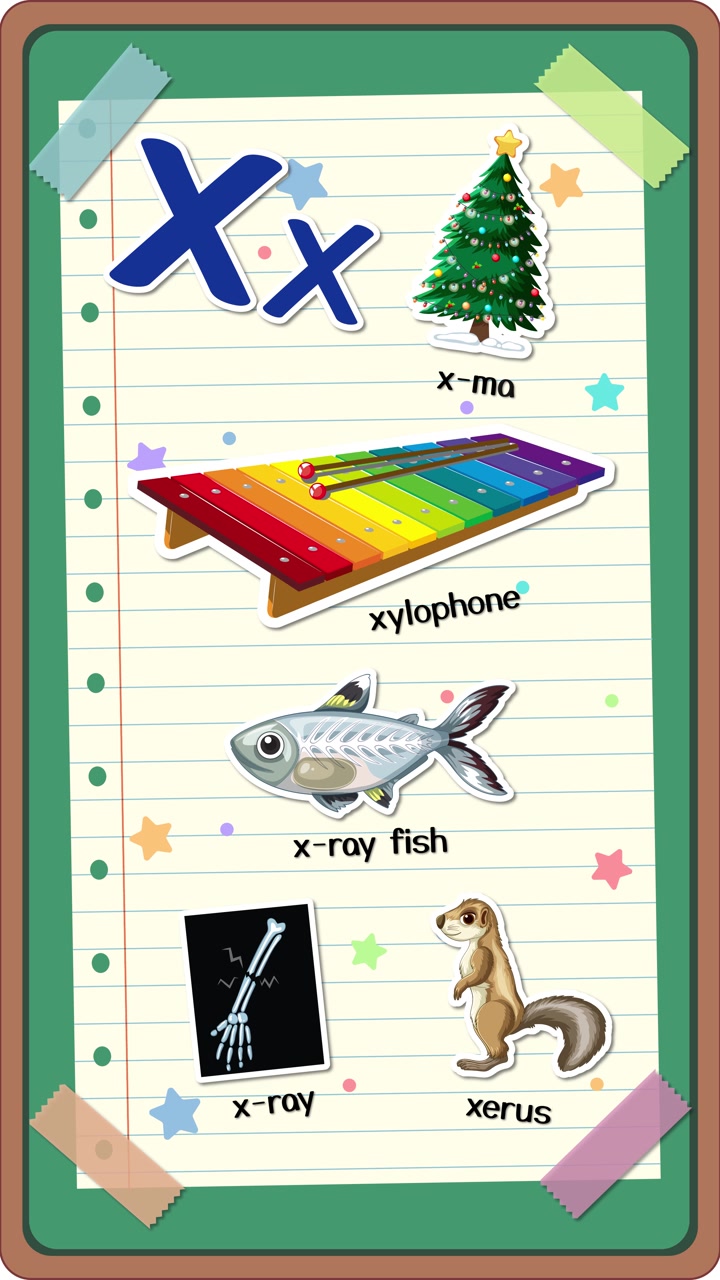 Animazione educativa verticale che mostra la lettera X con illustrazioni di xilofono, raggi X, xerus e pesce raggi X.