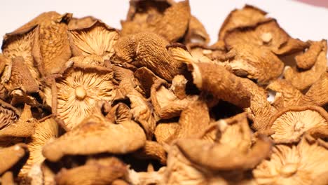 closeup of many dry mushrooms rotating in a circle dry mushrooms closeup of many dry mushrooms rotating in a circle dry mushrooms video
