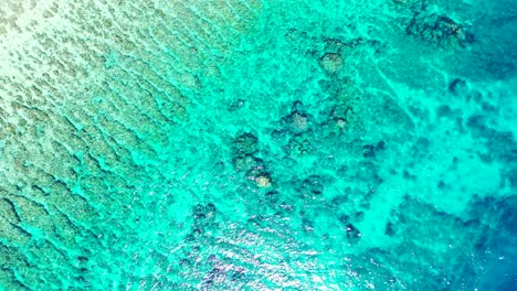 hermosa laguna turquesa con arrecifes de coral y rocas en el fondo del mar bajo aguas cristalinas esmeralda que reflejan la luz del sol, seychelles