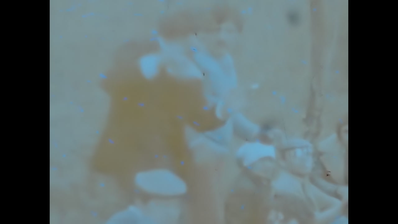 Group of People Gathered Around a Suited Man in Soviet Union. CIRCA USSR 1980s: A gathering of individuals stands around a man dressed in a suit in the Soviet Union.