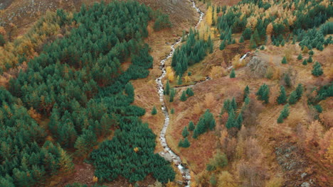 autumn foliage in akureyri, iceland – breathtaking drone views of vibrant green, orange, and yellow trees, cascading waterfalls, and tranquil streams