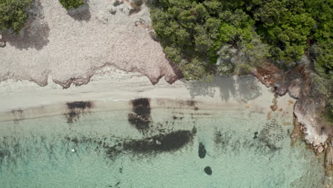 Una-Hermosa-Playa-De-Cerdeña-Con-Aguas-Turquesas-Y-Exuberantes-árboles-Verdes,-Vista-Aérea