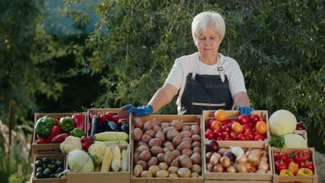 portrait of an elderly woman seller at a farmer's market. standing behind a counter with local vegetables