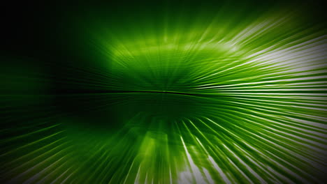 green wormhole