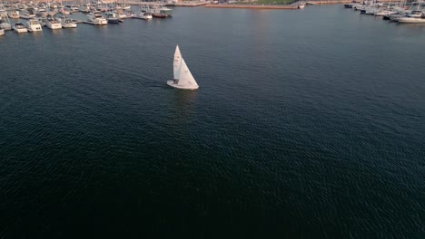 a white sailboat leaves hamilton harbour marina, filled with boats, and heads towards the open, deep blue waters of lake ontario