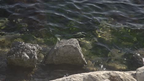 view-of-waves-breaking-on-reef-and-rocks-4K-UHD