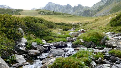 landscape of a mountain creek, on the pyrenees of andorra.