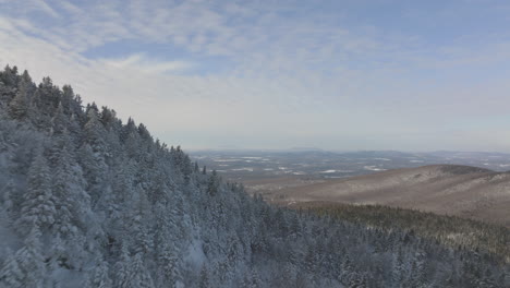 thick and lush forest covered in snow in sutton - aerial shot