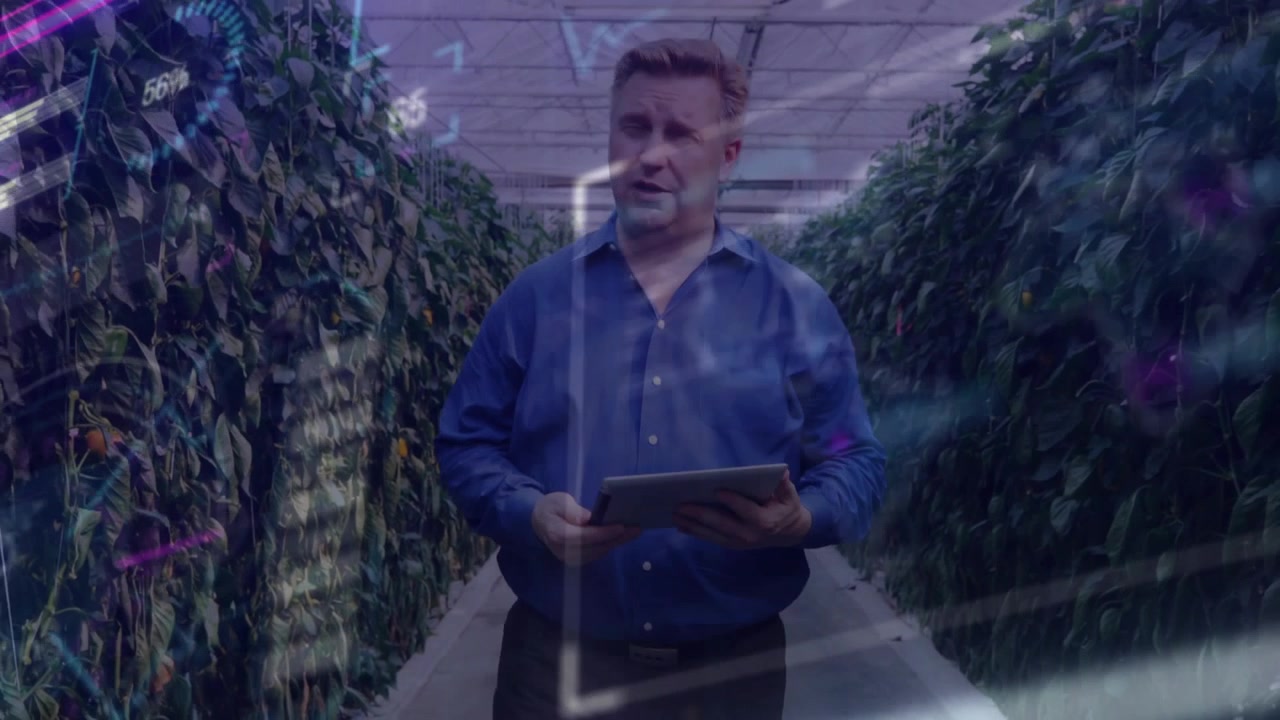 Greenhouse manager walking into corridor with tablet generating plant health metrics overlay