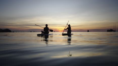 people paddleboarding at sunset